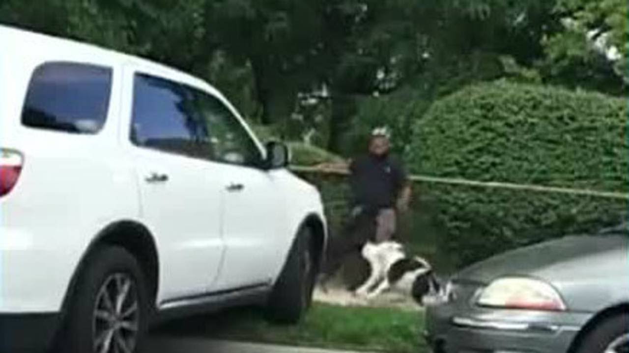 Video captures dog attack near Detroit school