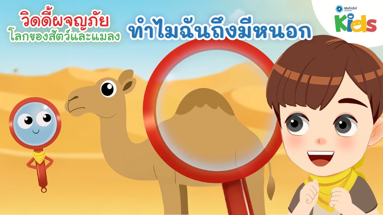 ทำไมฉันถึงมีหนอก | วิดดี้ผจญภัย 