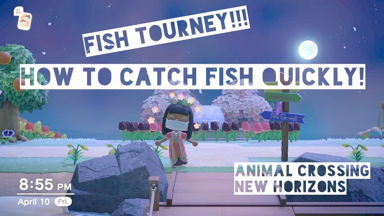 Fish Tournament - ACNH