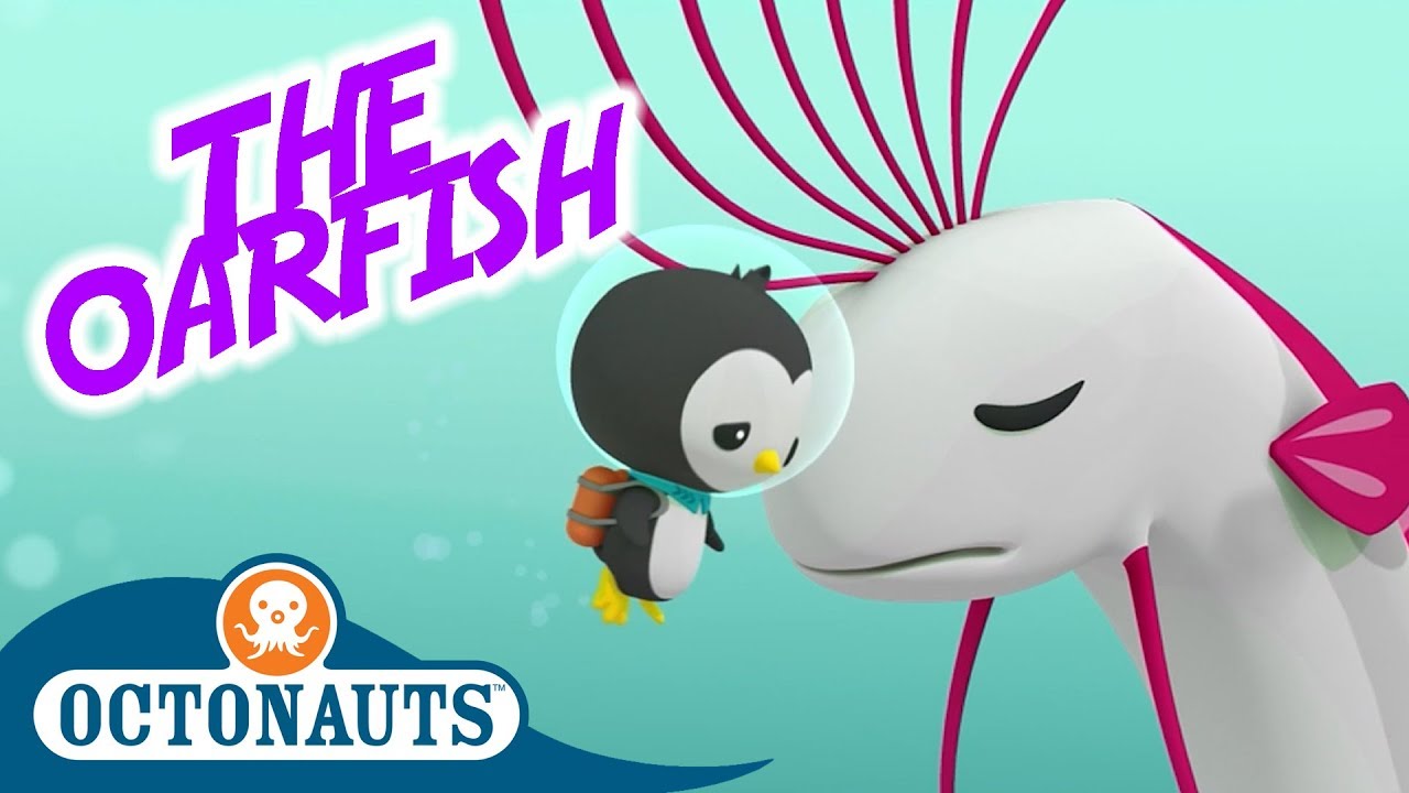 Octonauts - The Oarfish | Full Episode | Cartoons for Kids