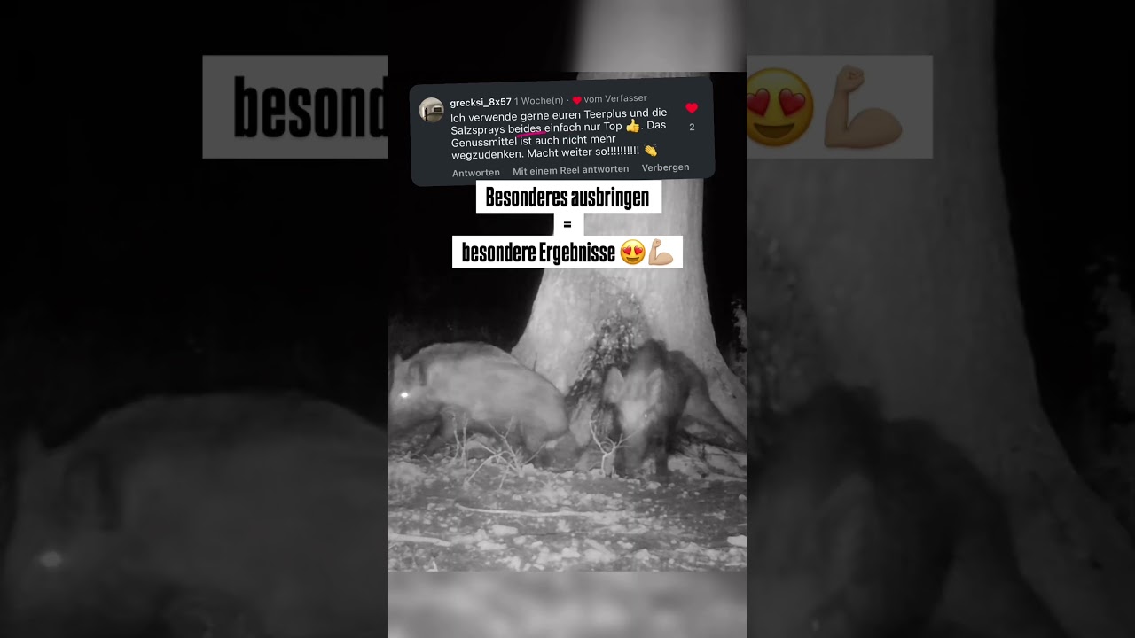 „Nicht mehr wegzudenken“ - Lockmittel für Schwarzwild 🐗🌿 