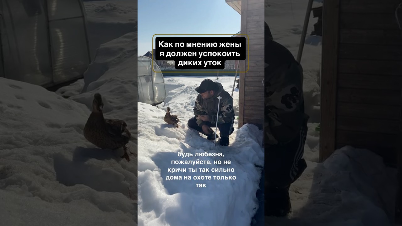 How my wife thinks I should calm wild ducks #hunting #duckhunting #belovedwife #duck #joke