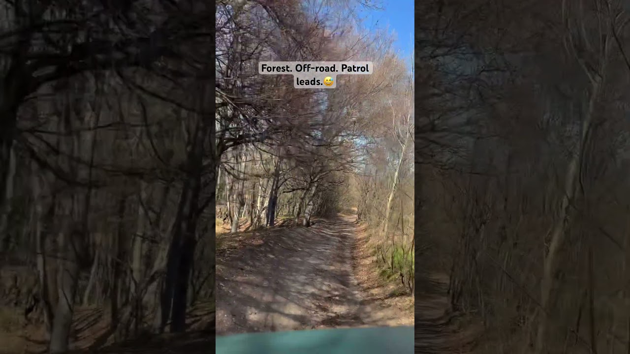 Deep in the forest, the Patrol owns the offroad! #offroad #overlanding #nissanpatrol #patrol #nature