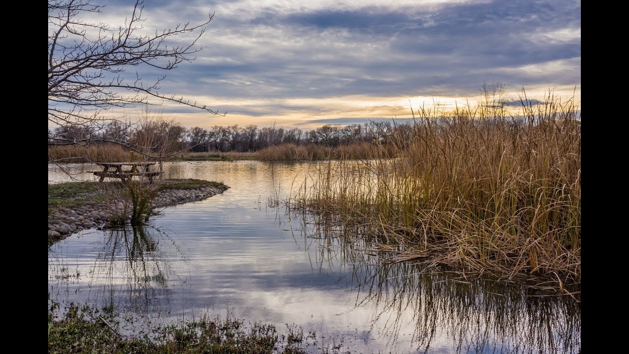 Northern California Duck Hunting Property For Sale | Rough Cut Ranch, Butte County California