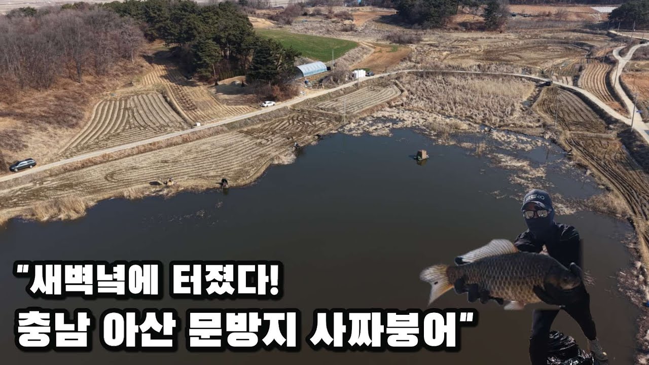 [충남 아산권] 새벽녘에 터졌다! 문방지 사짜붕어 조행기#문기어#눈스터#국제아르스#인디고프로젝트