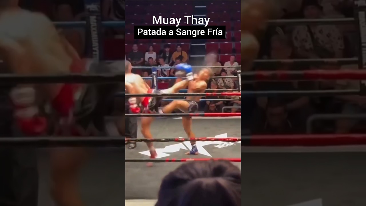 Patada a Sangre fr&iacute;a Muay Tay los Dioses le dieron el poder #boxing