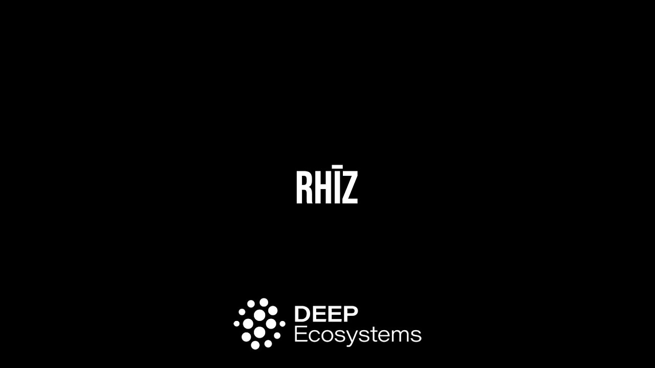 DEEP Startup Ecosystem Accelerator | GEN 3 | RHĪZ