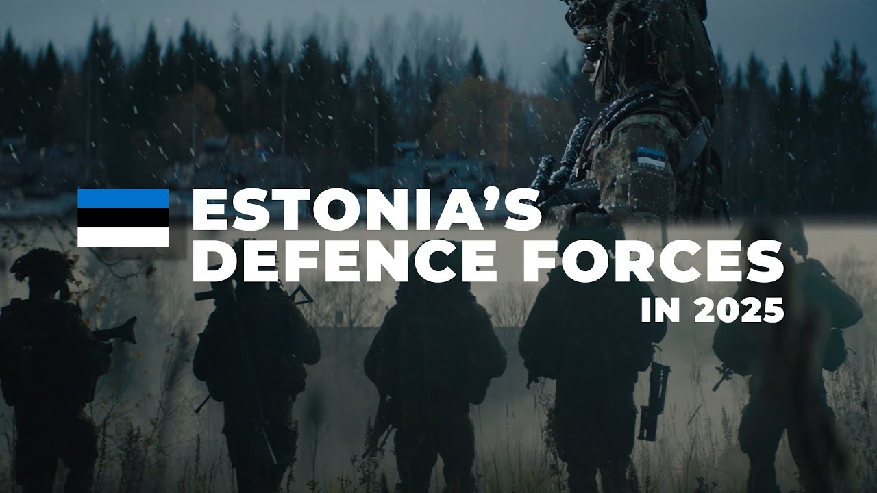 Estonia's Defence Forces: Size & Strength In 2025