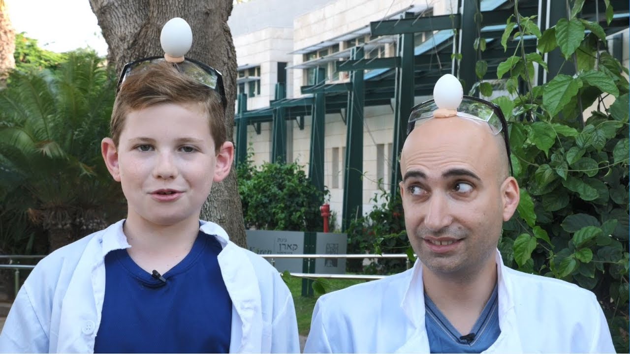 ביצה עומדת על הראש