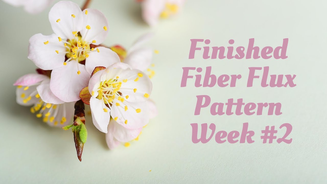 Fiber Flux Completed Pattern #2