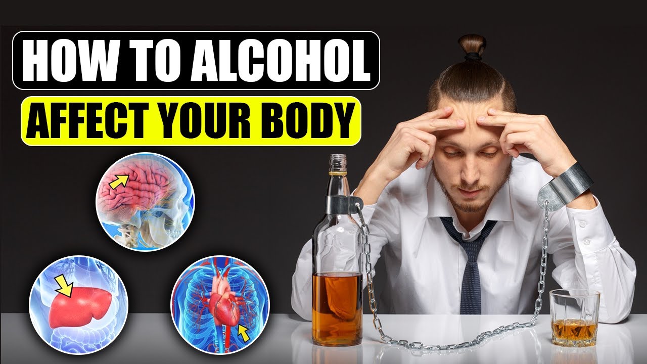 Что алкоголь на самом деле делает с вашим организмом — шокирующая правда | Howcast