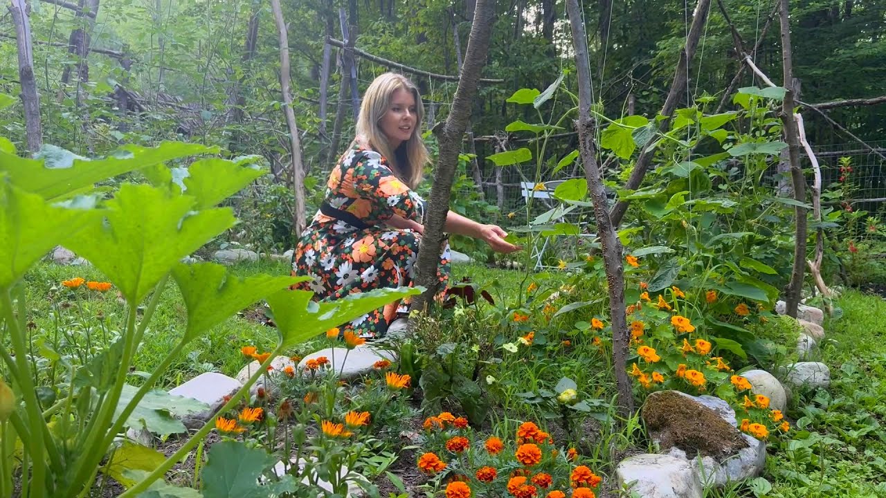 July Kitchen Garden Tour | Organic Veggies, Companion Planting & First Tomatoes of the Season!
