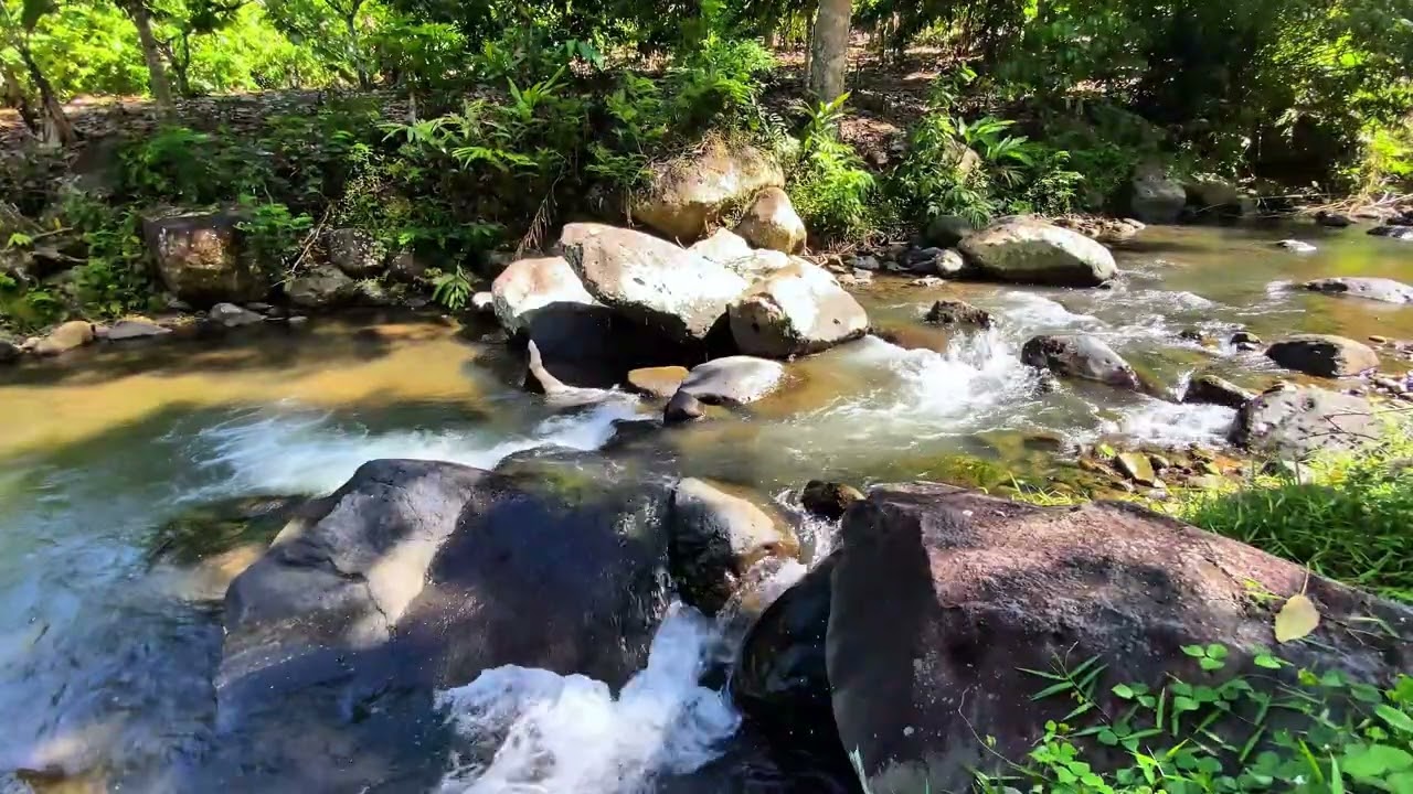 💤 Sleep Without Effort | Natural Stream Sounds For Deep Relaxation