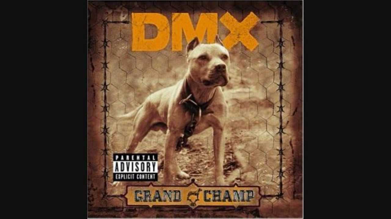 DMX - Get It On The Floor Lyrics [HD]
