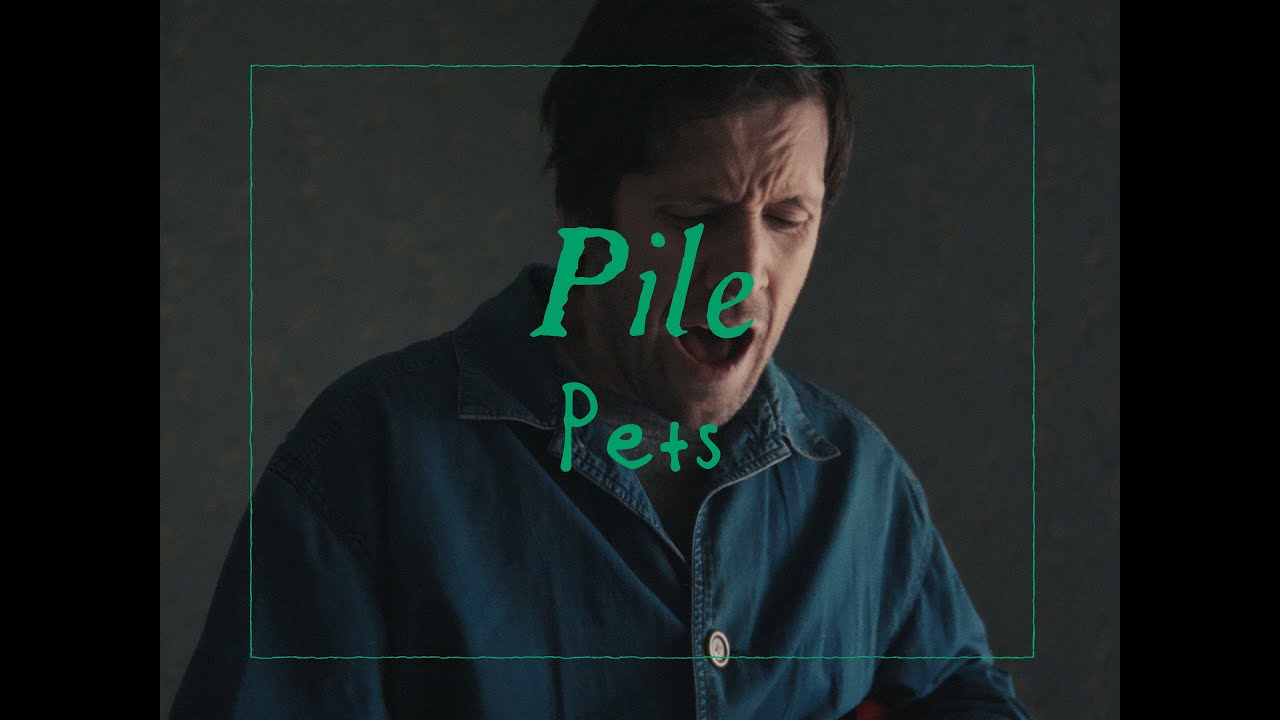 Pile - Pets | SOTP