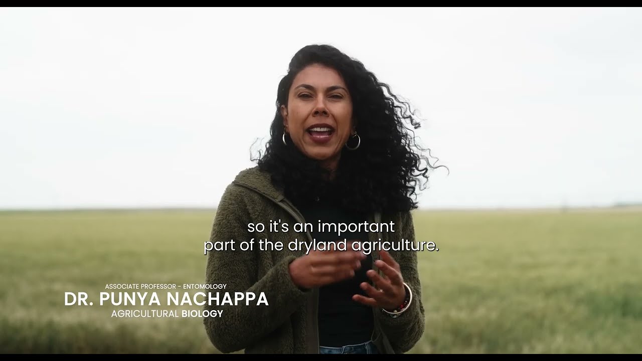 Dr. Punya Nachappa - Associate Professor, Agricultural Biology
