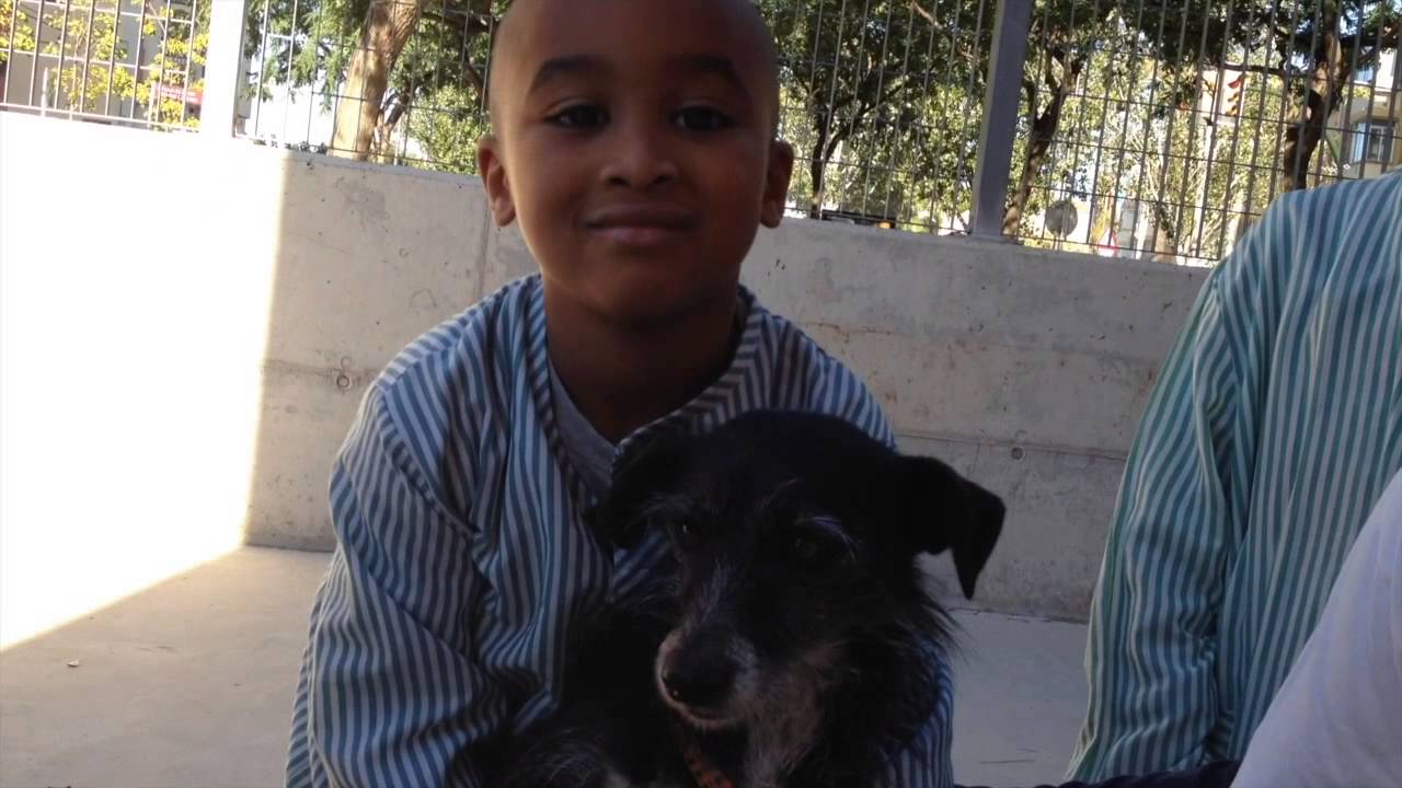 TALLER DE CIVISME I TINENÇA RESPONSBLE A LES AULES DE P5 DE L'ESCOLA MARIÀ FORTUNY