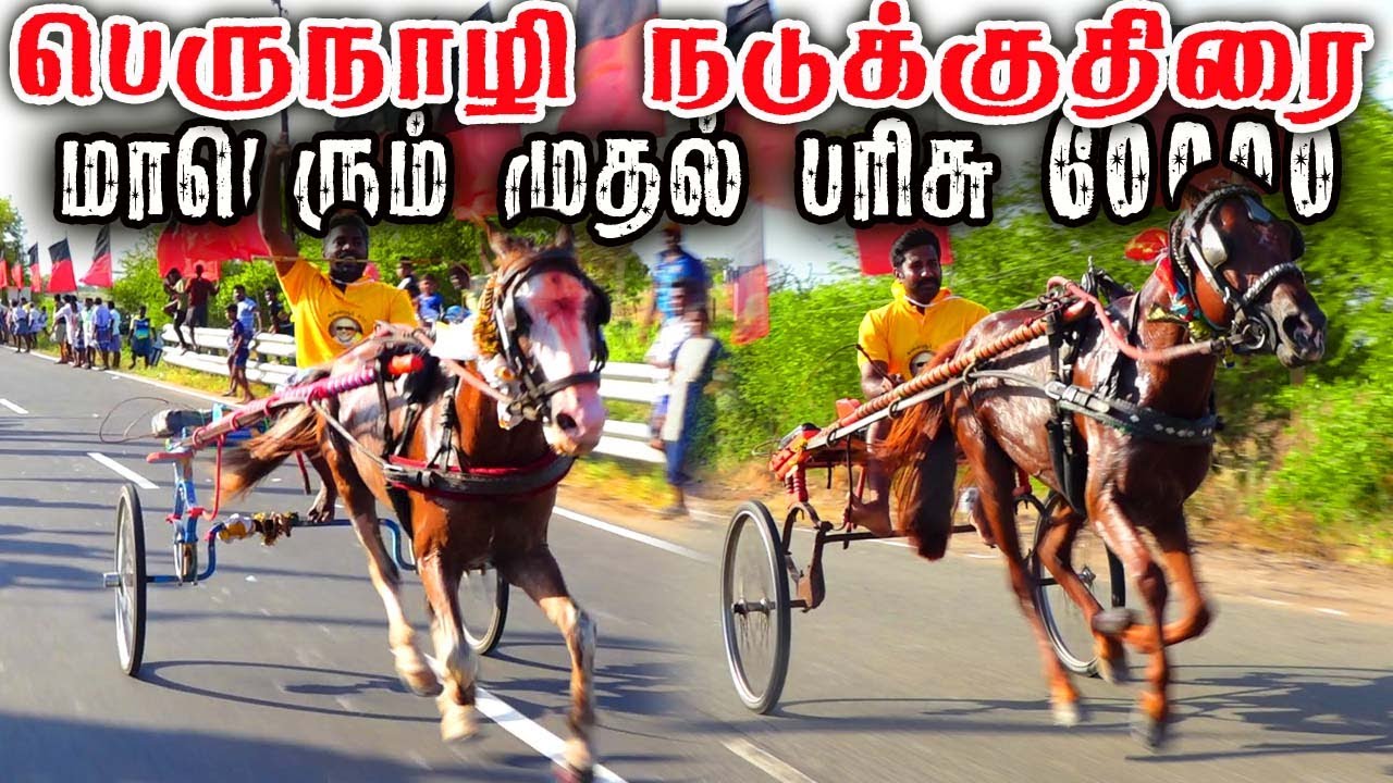 1இராமநாதபுரம்(மாவட்டம்) பெருநாழி நடுக்குதிரை பந்தயம் 29.07.2023