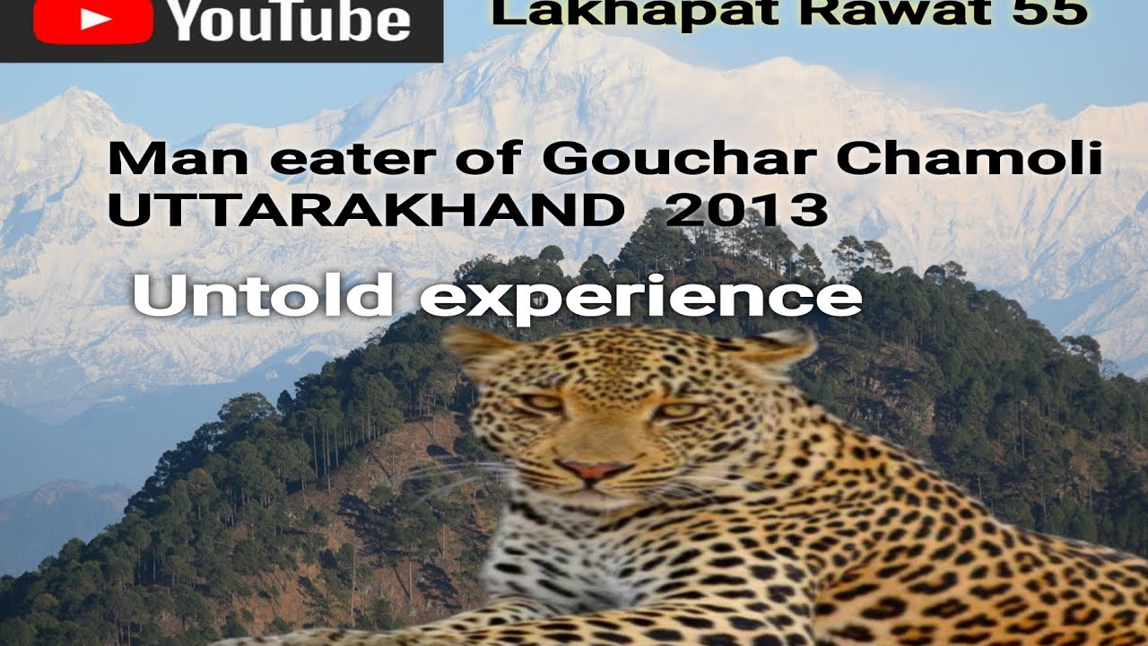 MAN EATER LEOPARD OF GOUCHAR CHAMOLI UTTARAKHAND 2013