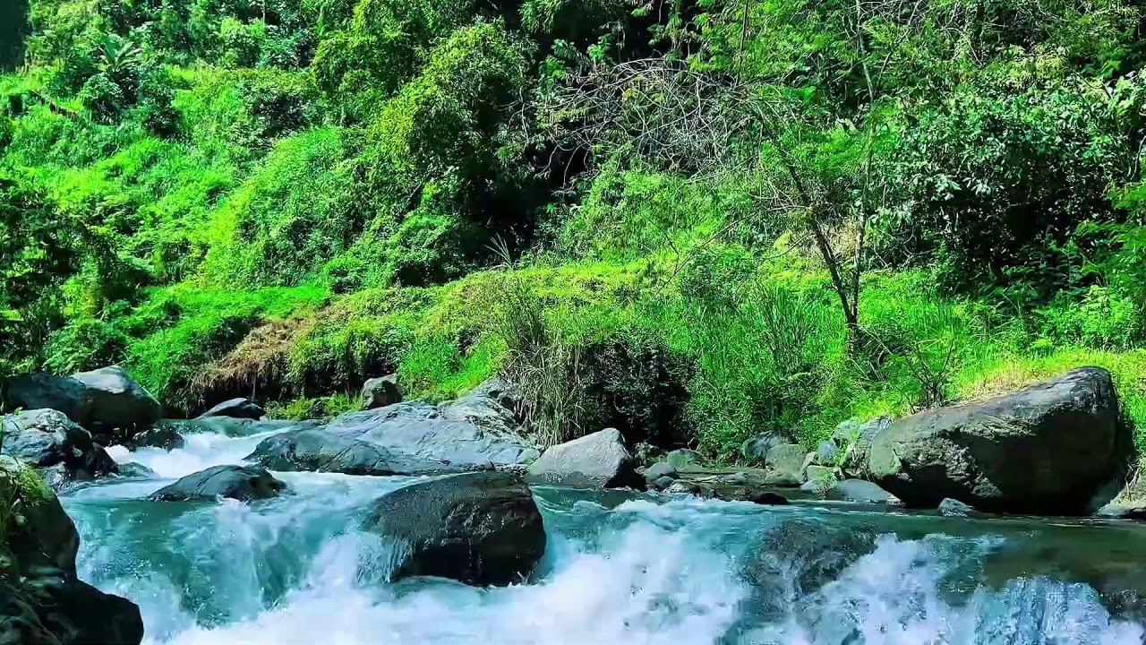 Soothing mountain river sounds for focus