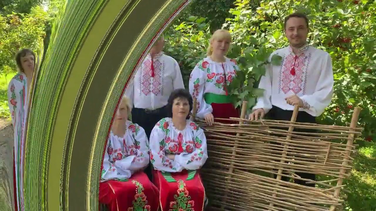 Калина стоїть біла