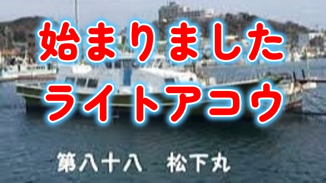 愛知県でも始まりましたライトアコウ　師崎港　第八十八松下丸
