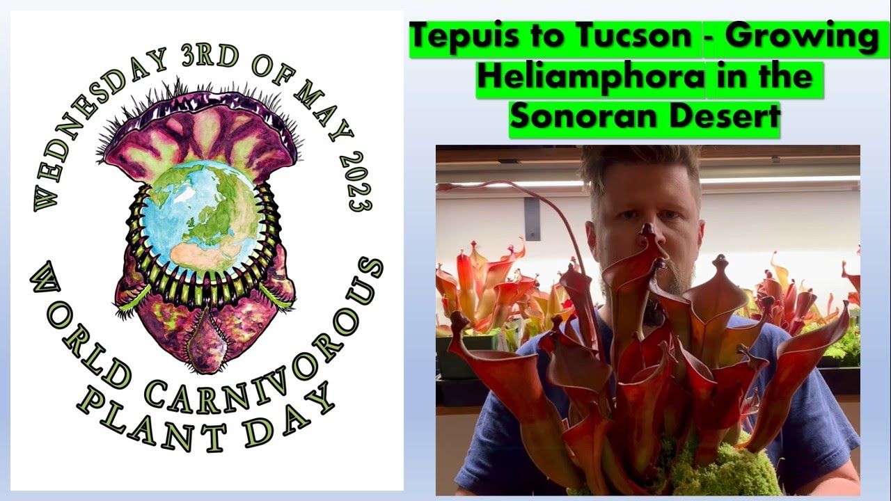 Tepuis to Tucson - Growing Heliamphora in the Sonoran Desert