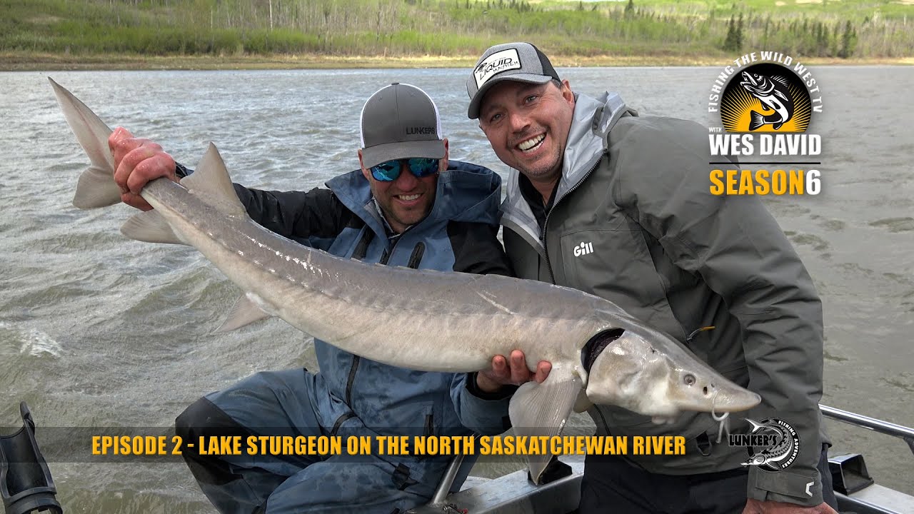 FTWWTV S06E02 - Lake sturgeon on the North Saskatchewan River