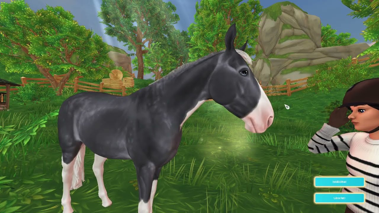 Vegyünk svéd melegvérűt!🐎🤗