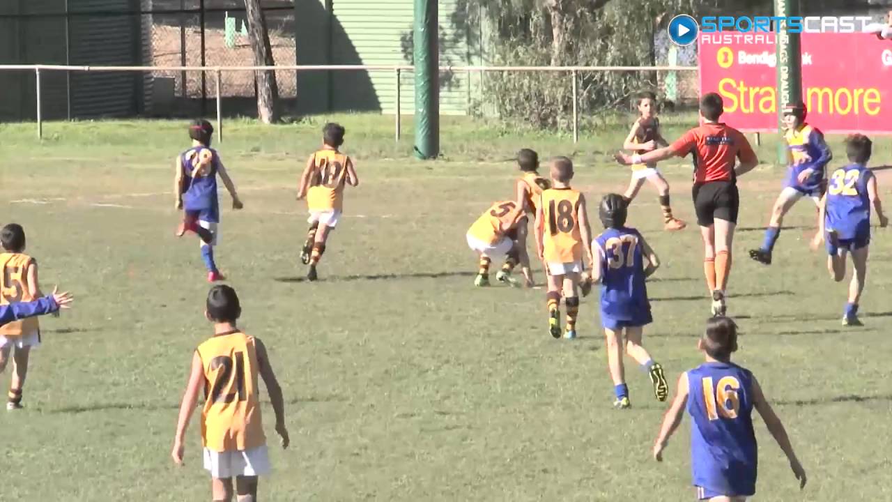 2016 EDFL U10 Div 3 Grand Final - Hadfield highlights