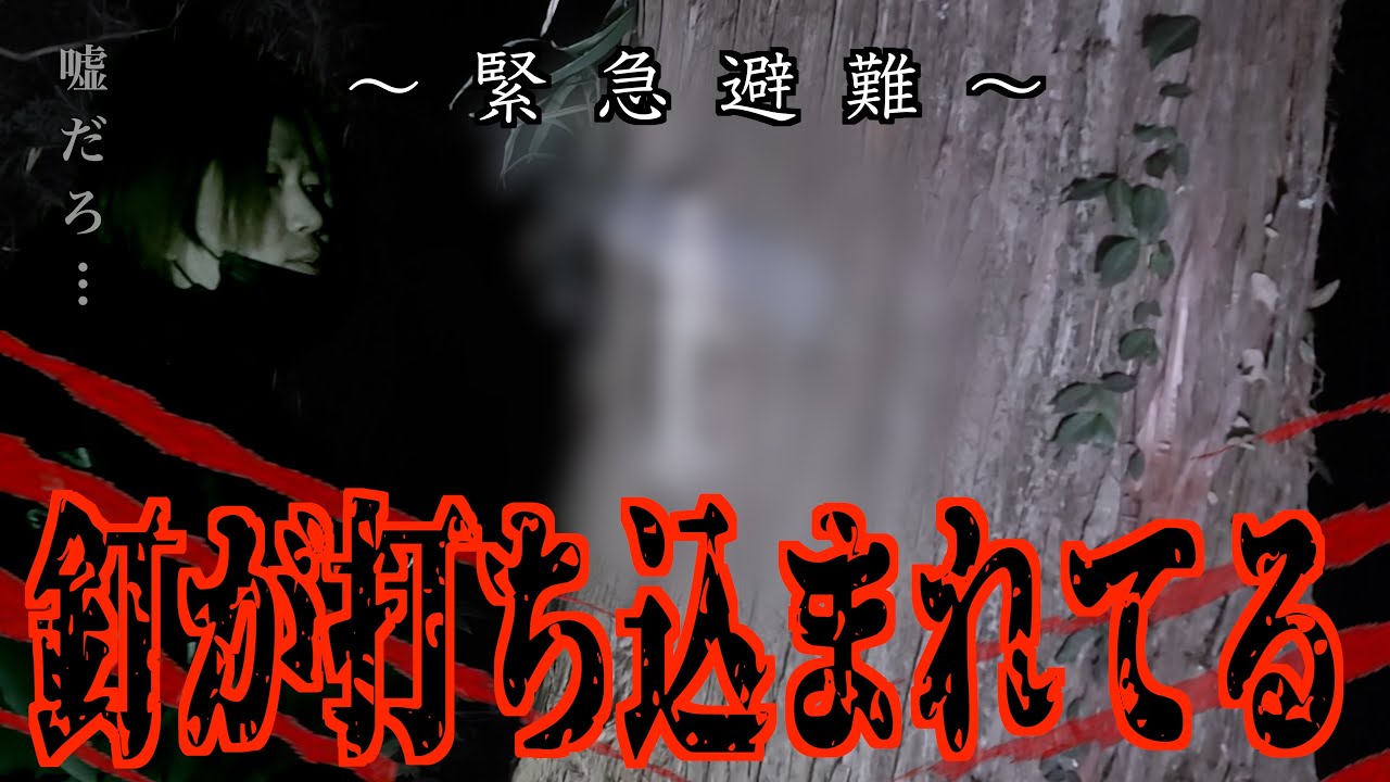 【緊急事態】遭遇した赤い女…