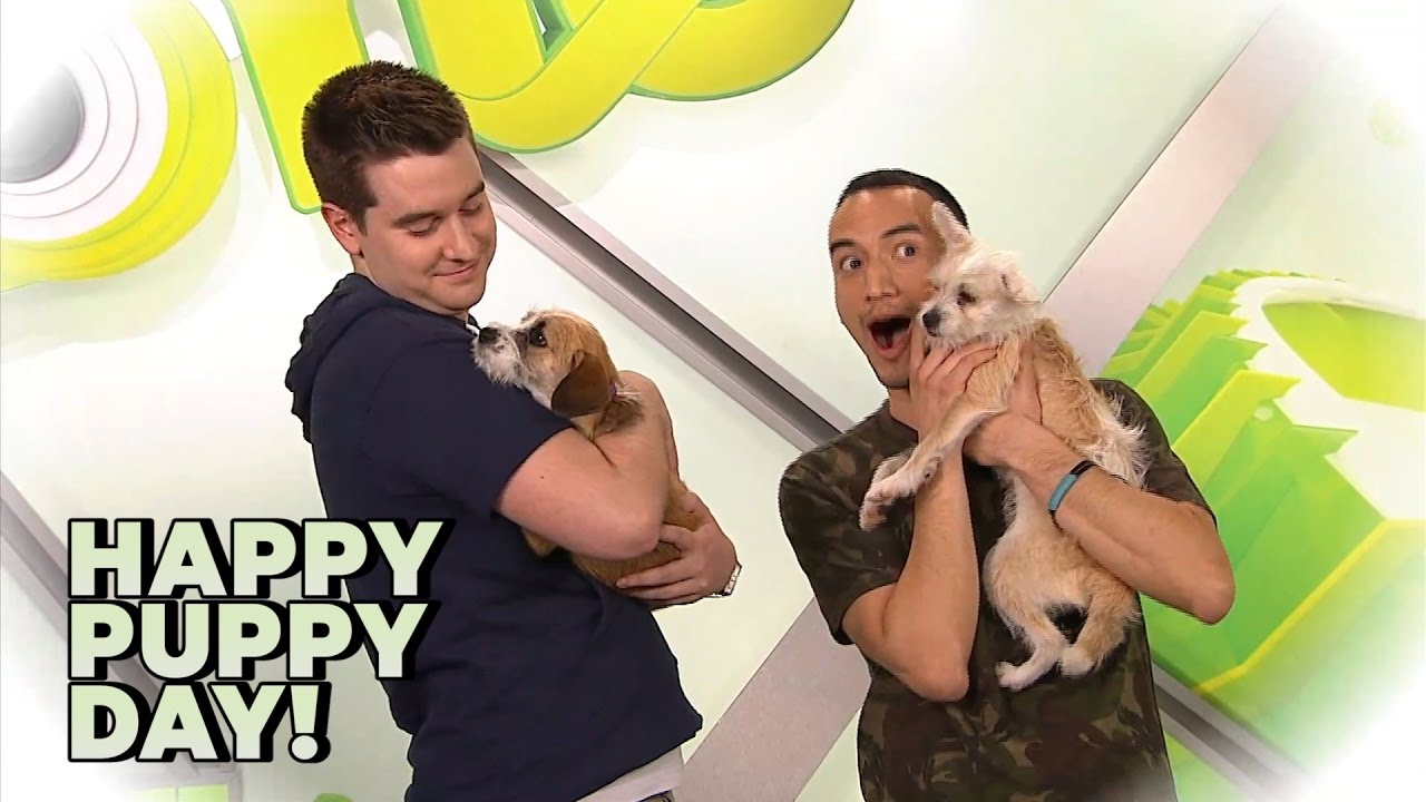 Happy Puppy Day!
