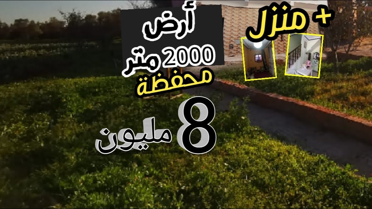 منزل و ارض 2000 متر محفظة 8 مليون فقط لا تفوتو الفرصة