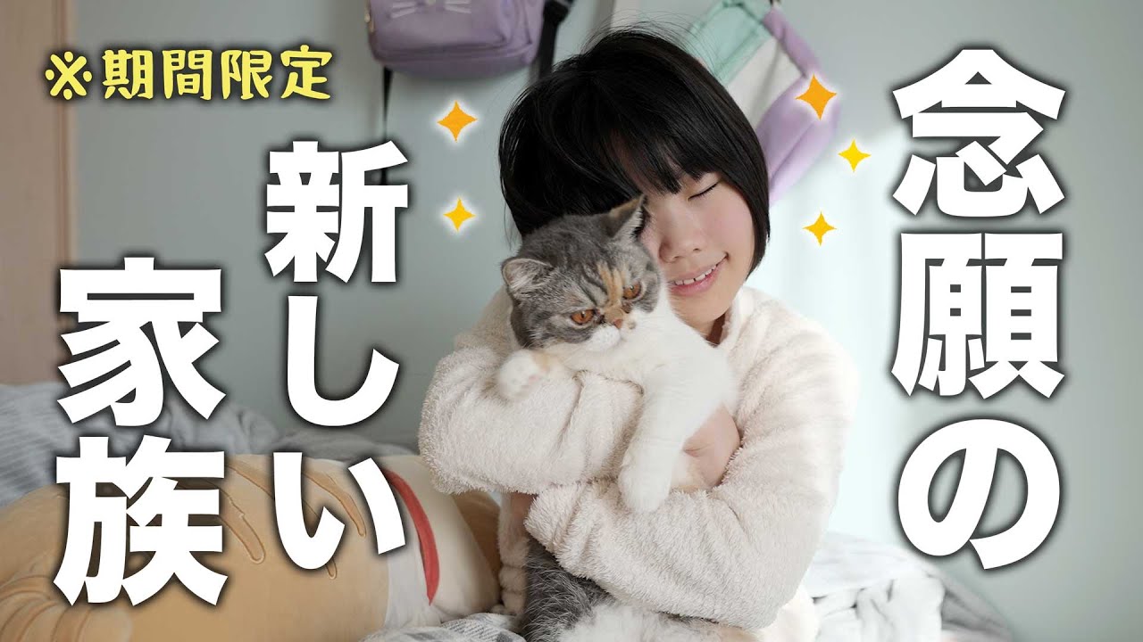 かわいい家族が増えました！