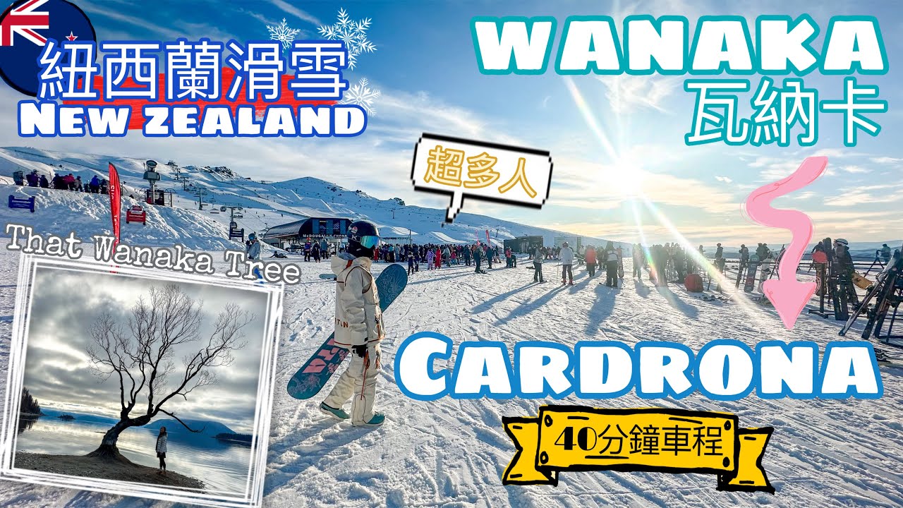 【紐西蘭🇳🇿 • 瓦納卡Wanaka】Cardrona🏂單板滑雪 • 必去雪場｜週邊景點📍That Wanaka Tree📍Bra Fence【艾雲遊世界】旅行Vlog