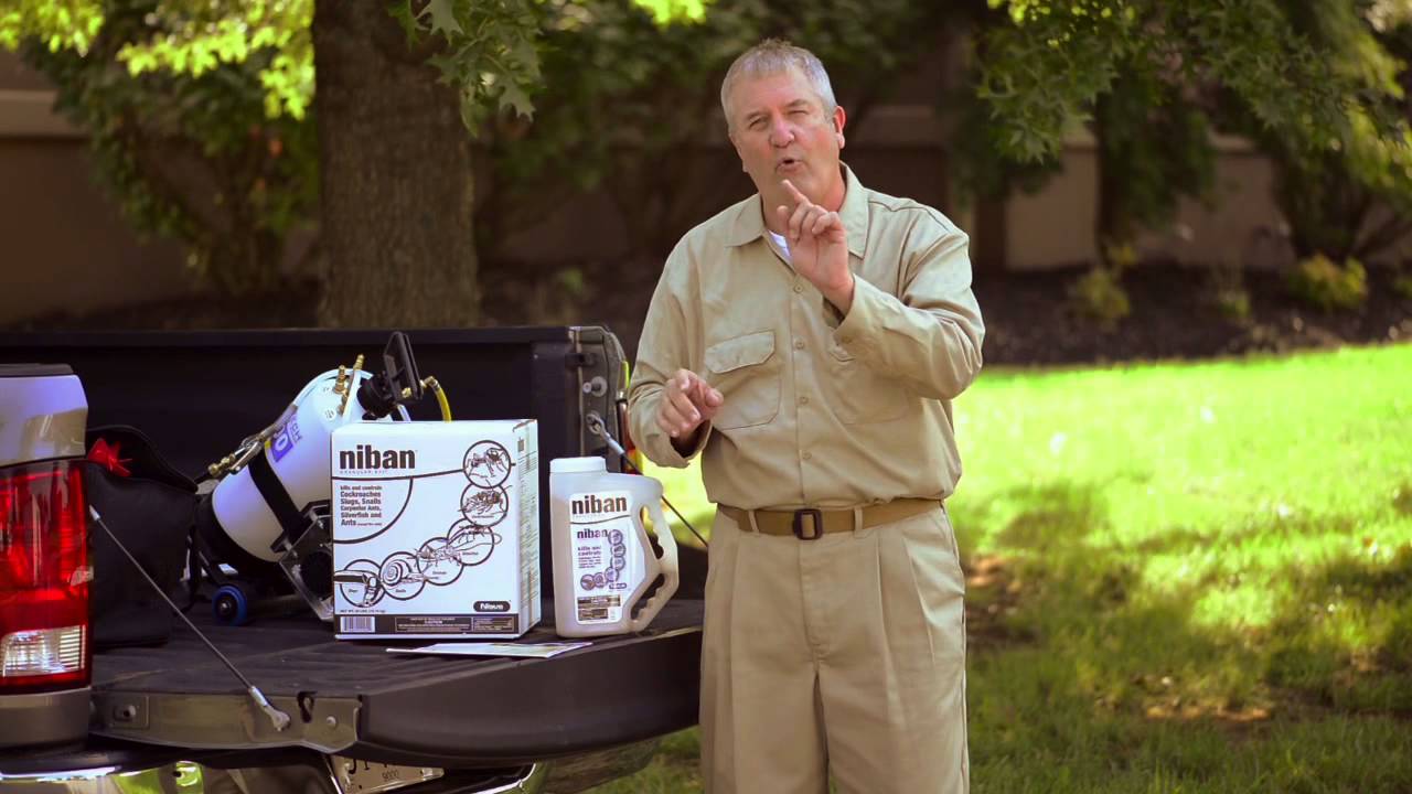 Niban Granular Bait introduction for pest control technicians.
