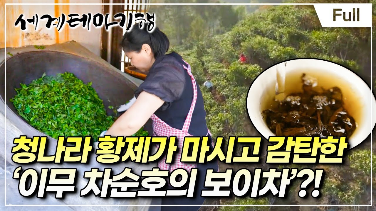 [Full] 세계테마기행 - 차마고도 茶馬古道- 차황수의 전설,린창