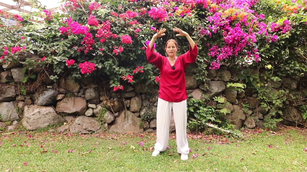 The Meridians and How They Flow