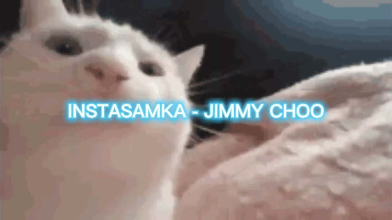 INSTASAMKA - JIMMY CHOO (MASHUP by bruce_lean tiktok)