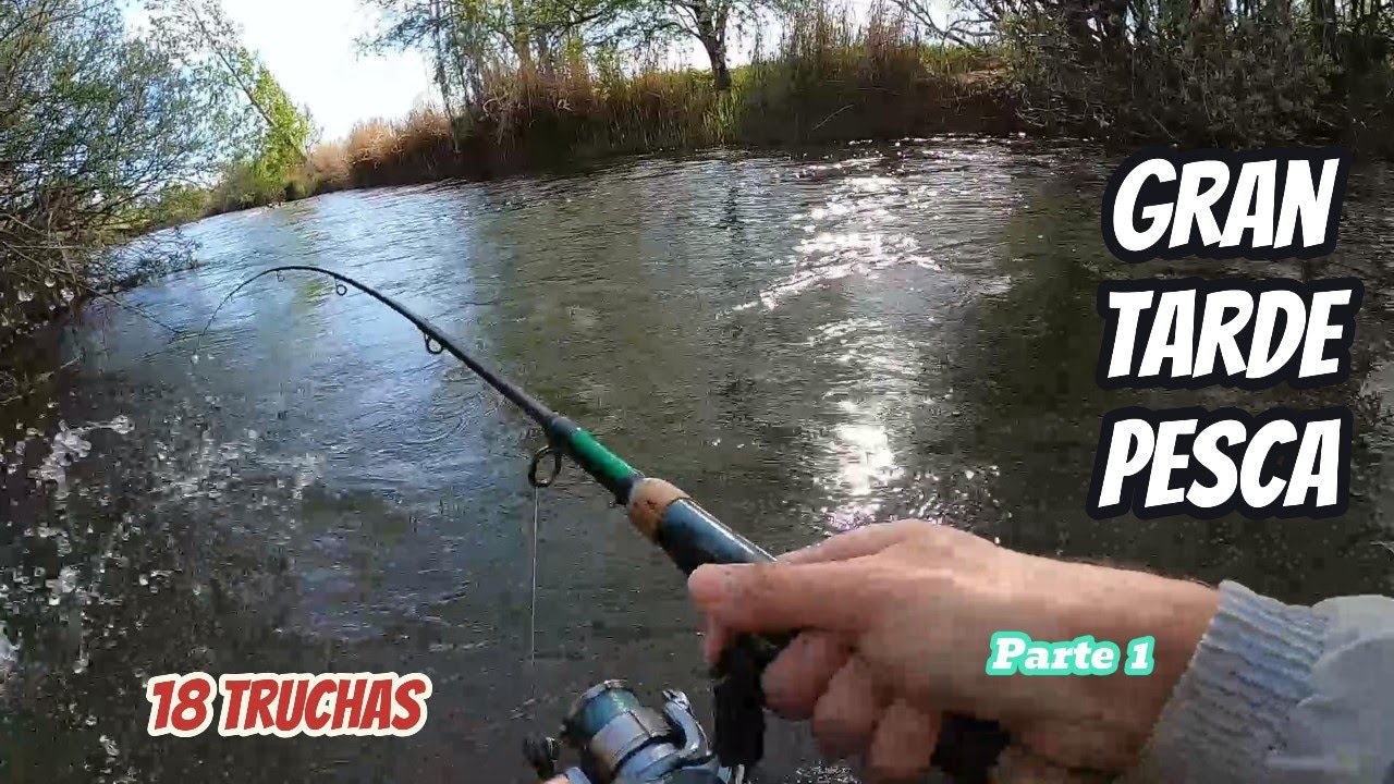 PESCA TRUCHAS 18 capturas cucharilla 2024 rio Duero Soria