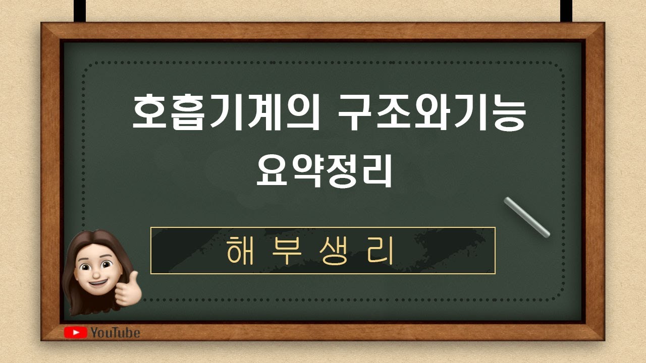 [해부생리] 호흡기계의 구조와 기능 요약정리
