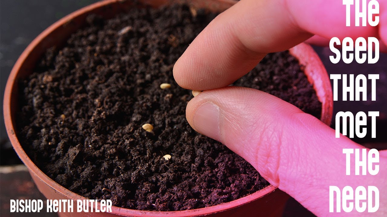 The Seed That Met The Need | Bishop Keith Butler | March 09, 2022
