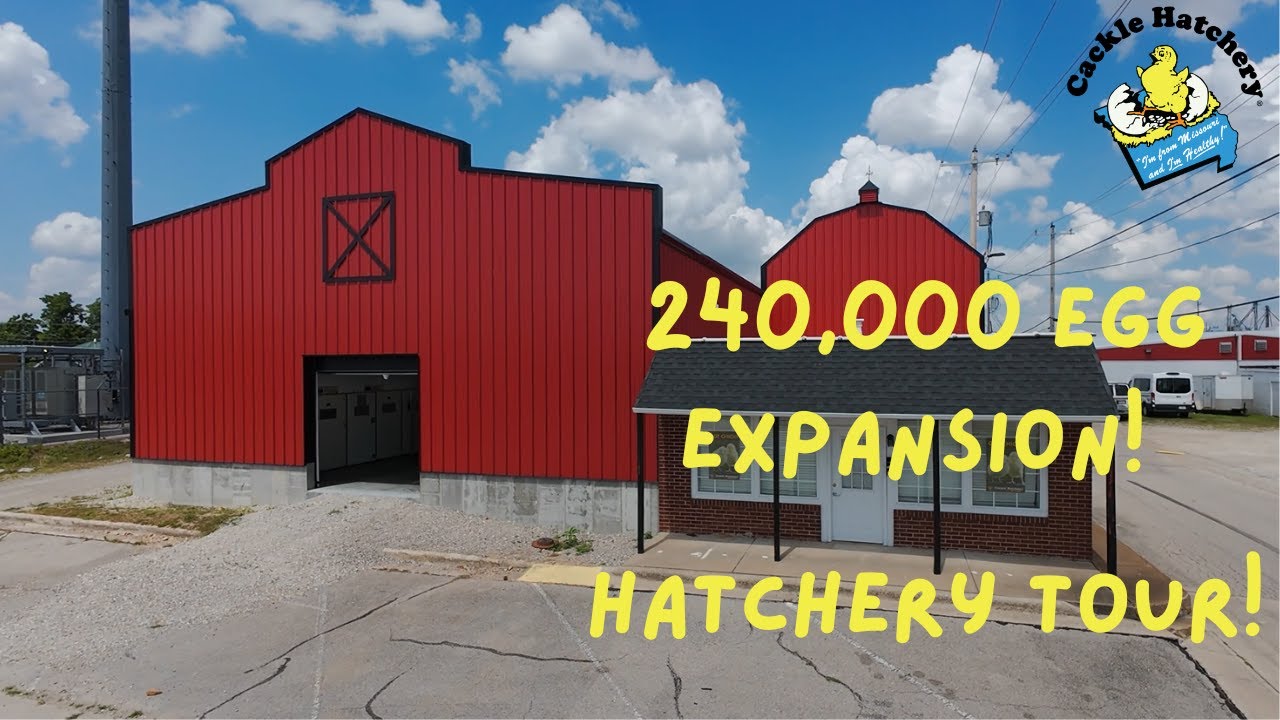 Cackle Hatchery&rsquo;s 240,000-Egg Expansion: Take the Tour!