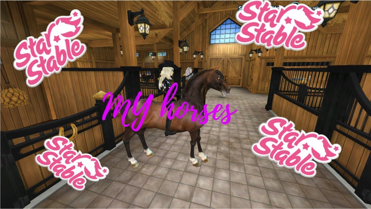My horses update! WATCH IN HD!