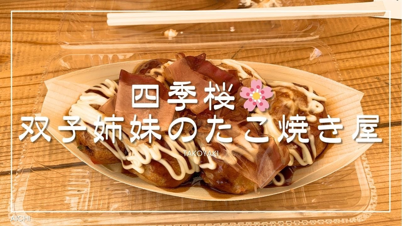 四季桜🌸双子姉妹のたこ焼き屋（愛知）☆Ninja650☆