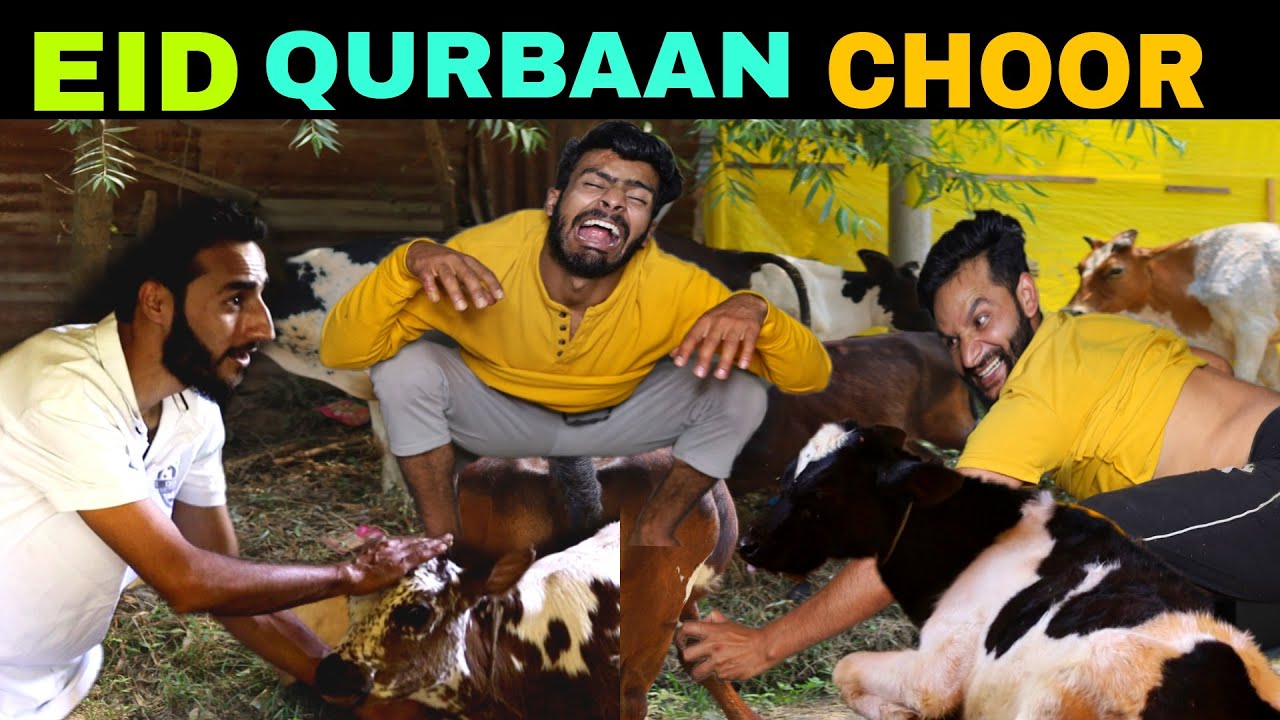 Qurbaan Choor Funny Video By Kashmiri Rounders