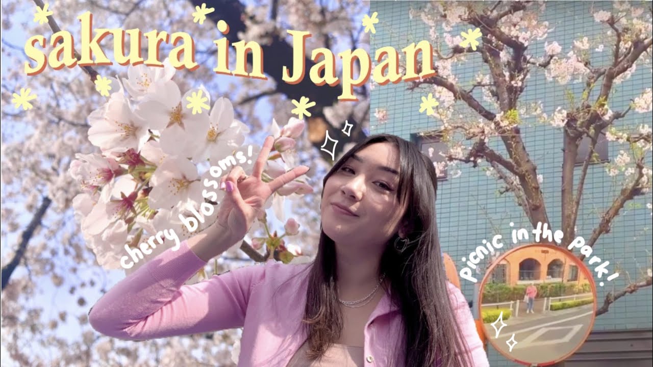 spring cherry blossoms in TOKYO 🌸 picnic date + exploring the park
