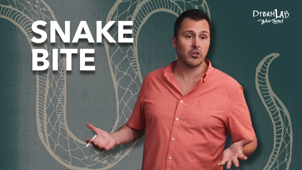 Snake Bite | Dream Lab