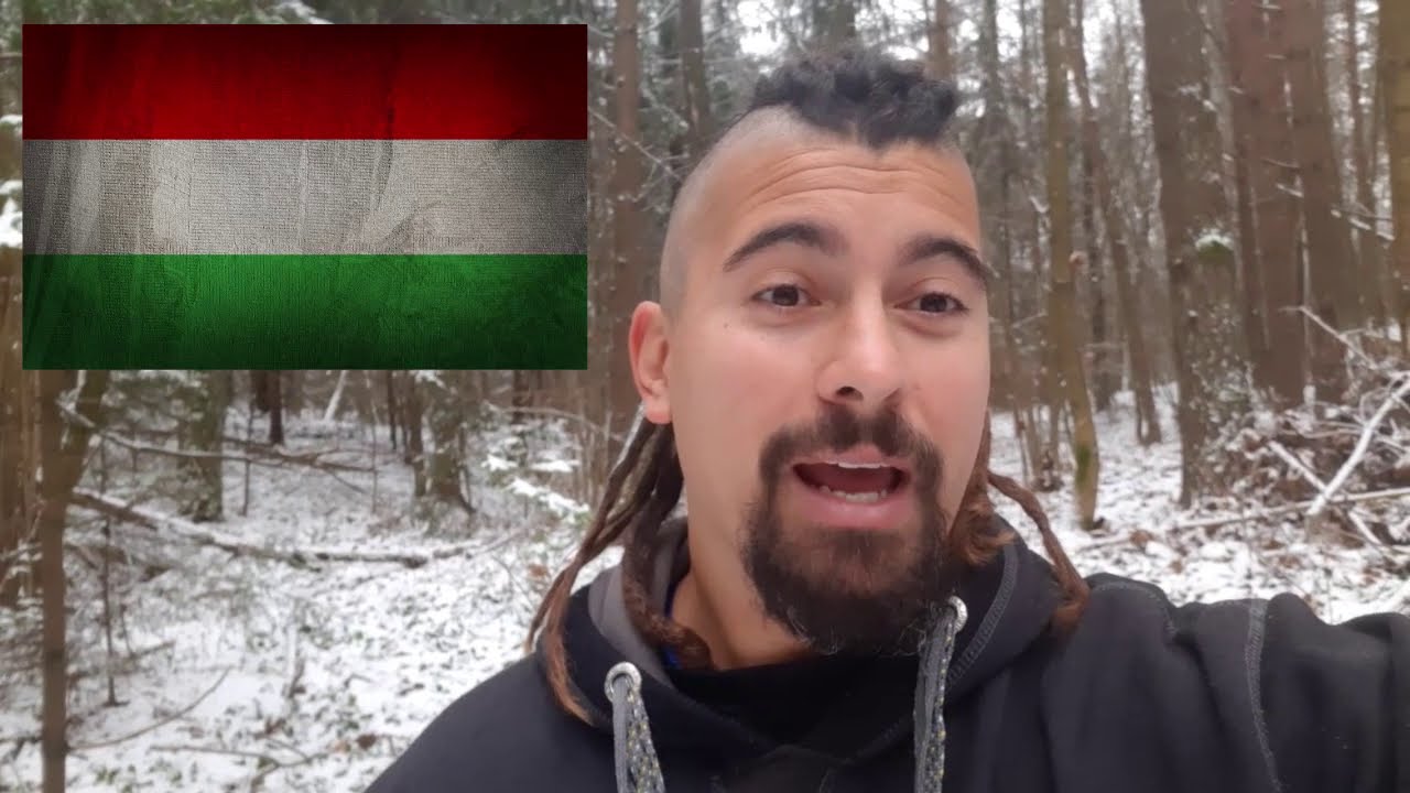 Imigração húngara para a Europa