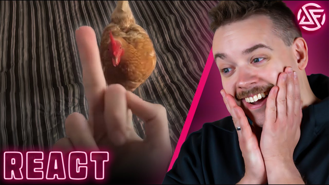 UnusualVideos V339 - DoktorFroid Reaction